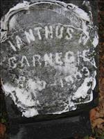 Carnegie, Ianthus (3rd Pic.)